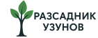Разсадник Узунов